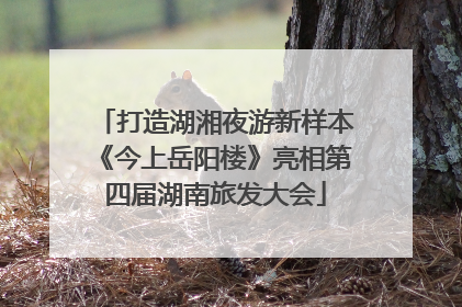 打造湖湘夜游新样本《今上岳阳楼》亮相第四届湖南旅发大会