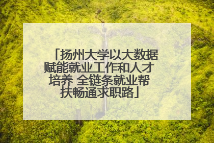 扬州大学以大数据赋能就业工作和人才培养 全链条就业帮扶畅通求职路