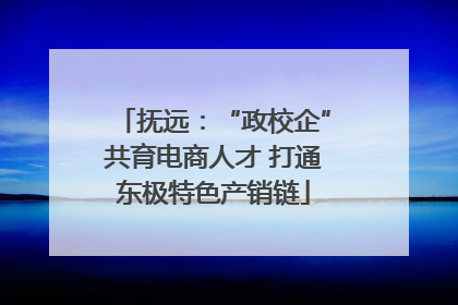 抚远：“政校企”共育电商人才 打通东极特色产销链