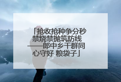 抢收抢种争分秒 禁烧禁抛筑防线——郎中乡干群同心守好 粮袋子