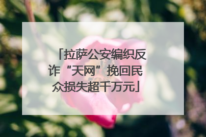 拉萨公安编织反诈“天网”挽回民众损失超千万元
