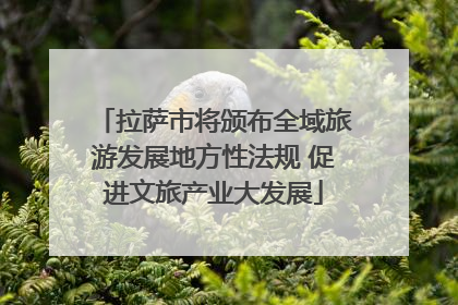 拉萨市将颁布全域旅游发展地方性法规 促进文旅产业大发展