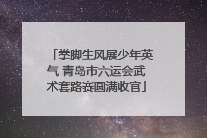 拳脚生风展少年英气 青岛市六运会武术套路赛圆满收官