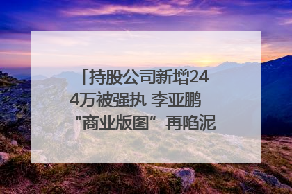 持股公司新增244万被强执 李亚鹏“商业版图”再陷泥潭？｜科技观察