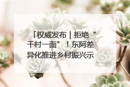 权威发布｜拒绝“千村一面”！东阿差异化推进乡村振兴示范片区建设