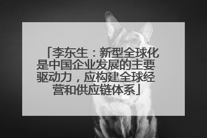 李东生：新型全球化是中国企业发展的主要驱动力，应构建全球经营和供应链体系