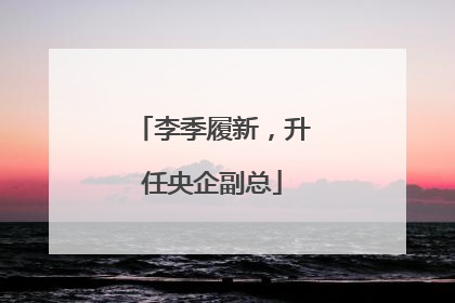 李季履新，升任央企副总