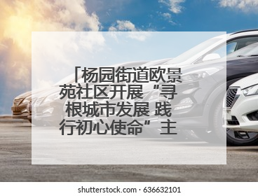 杨园街道欧景苑社区开展“寻根城市发展 践行初心使命”主题党日活动