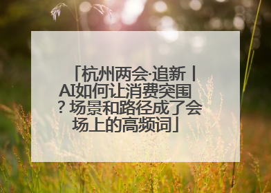 杭州两会·追新丨AI如何让消费突围？场景和路径成了会场上的高频词