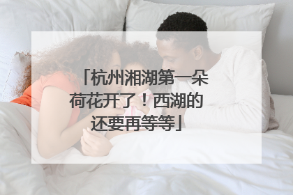 杭州湘湖第一朵荷花开了！西湖的还要再等等