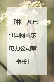 林一凡已任国网山东电力公司董事长