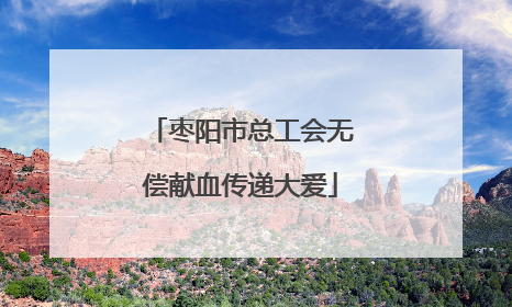 枣阳市总工会无偿献血传递大爱