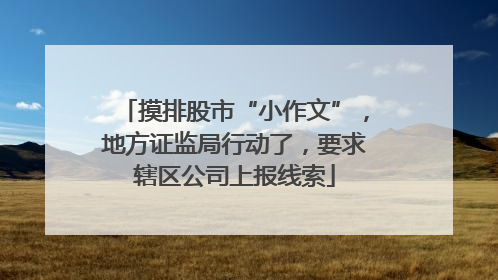 摸排股市“小作文”，地方证监局行动了，要求辖区公司上报线索