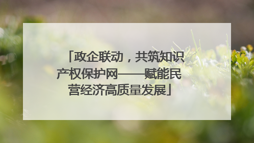 政企联动，共筑知识产权保护网——赋能民营经济高质量发展
