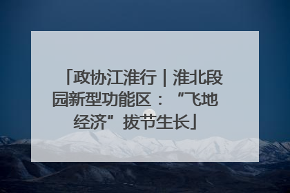 政协江淮行｜淮北段园新型功能区：“飞地经济”拔节生长