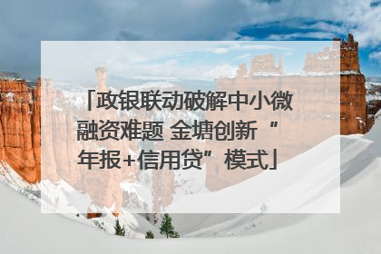 政银联动破解中小微融资难题 金塘创新“年报+信用贷”模式