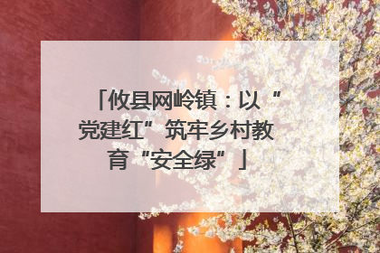 攸县网岭镇：以“党建红”筑牢乡村教育“安全绿”