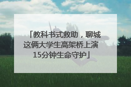 教科书式救助，聊城这俩大学生高架桥上演15分钟生命守护