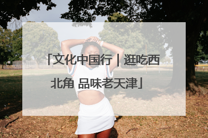 文化中国行｜逛吃西北角 品味老天津