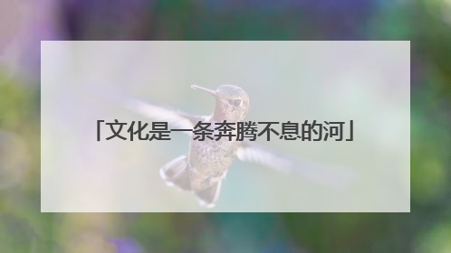 文化是一条奔腾不息的河