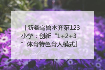 新疆乌鲁木齐第123小学：创新“1+2+3”体育特色育人模式