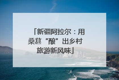 新疆阿拉尔：用桑葚“酿”出乡村旅游新风味
