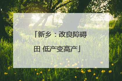 新乡：改良障碍田 低产变高产