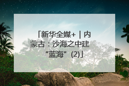 新华全媒+｜内蒙古：沙海之中建“蓝海”(2)