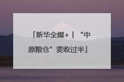 新华全媒+丨“中原粮仓”麦收过半
