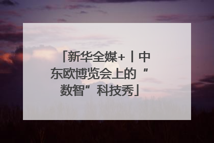 新华全媒+丨中东欧博览会上的“数智”科技秀