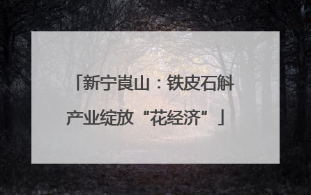 新宁崀山：铁皮石斛产业绽放“花经济”