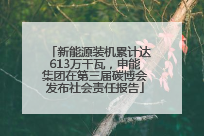 新能源装机累计达613万千瓦，申能集团在第三届碳博会发布社会责任报告