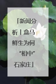 新闻分析丨盒马鲜生为何“相中”石家庄