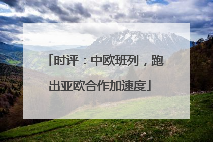 时评：中欧班列，跑出亚欧合作加速度