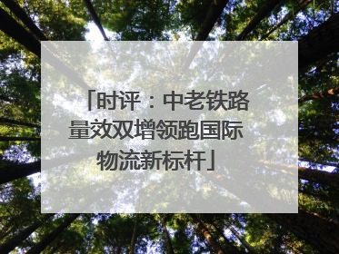 时评：中老铁路量效双增领跑国际物流新标杆