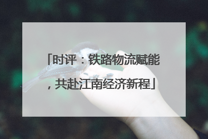 时评：铁路物流赋能，共赴江南经济新程