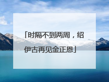 时隔不到两周，绍伊古再见金正恩