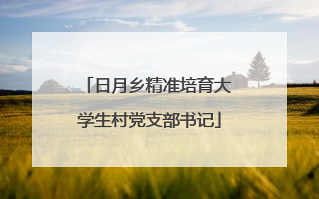 日月乡精准培育大学生村党支部书记