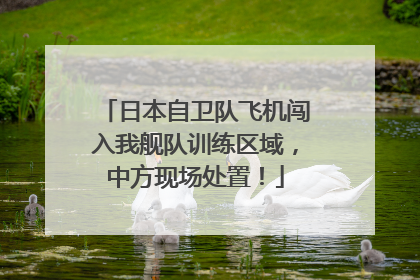 日本自卫队飞机闯入我舰队训练区域，中方现场处置！