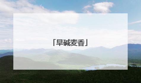 旱碱麦香