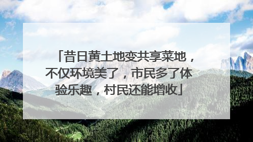 昔日黄土地变共享菜地，不仅环境美了，市民多了体验乐趣，村民还能增收