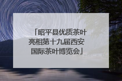 昭平县优质茶叶亮相第十九届西安国际茶叶博览会