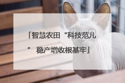 智慧农田“科技范儿” 稳产增收根基牢