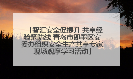 智汇安全促提升 共享经验筑防线 青岛市即墨区安委办组织安全生产共享专家现场观摩学习活动
