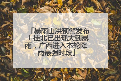 暴雨山洪预警发布！桂北已出现大到暴雨，广西进入本轮降雨最强时段