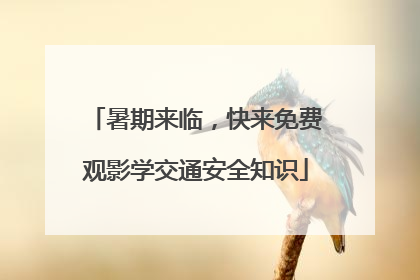 暑期来临，快来免费观影学交通安全知识