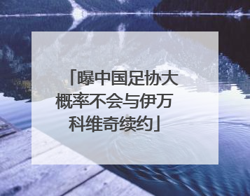 曝中国足协大概率不会与伊万科维奇续约