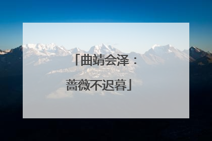 曲靖会泽：蔷薇不迟暮