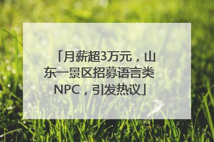 月薪超3万元，山东一景区招募语言类NPC，引发热议