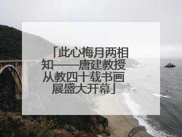 此心梅月两相知——唐建教授从教四十载书画展盛大开幕
